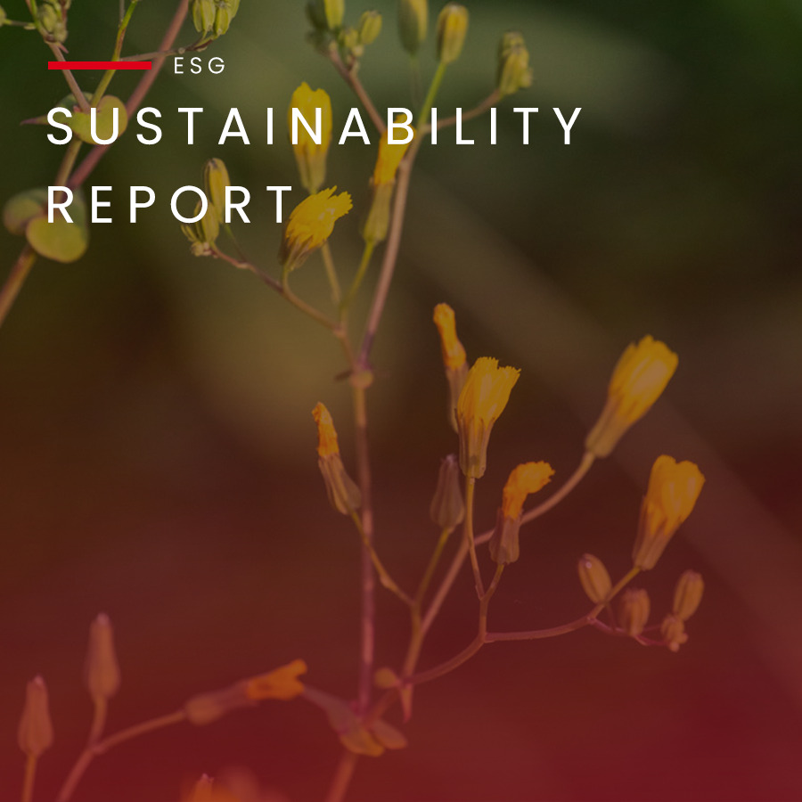 silvercorp sustainability statement
